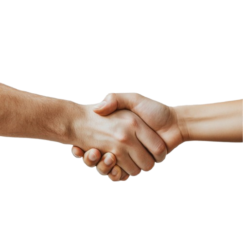 Sea Cargo Logistics Service